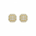 Natural Diamonds Earrings