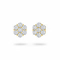 Natural Diamonds Earrings