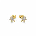 Natural Diamonds Earrings